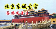 色999韩日中国北京-东城古宫旅游风景区